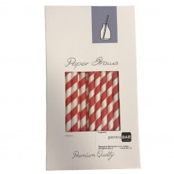 Paper Straws (100pcs Set!) with Red and White Stripes