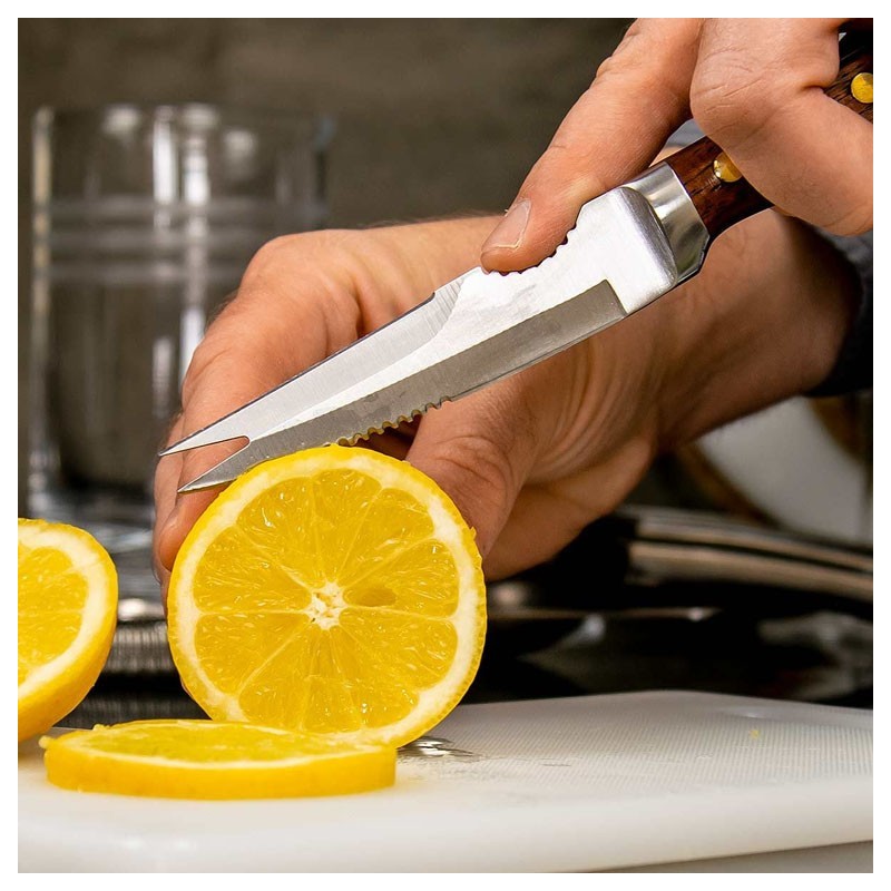 Professional COLEY Premium Knife [UrbanBAR] for Bartenders
