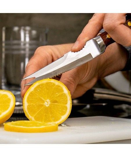 Professional COLEY Premium Knife [UrbanBAR] for Bartenders